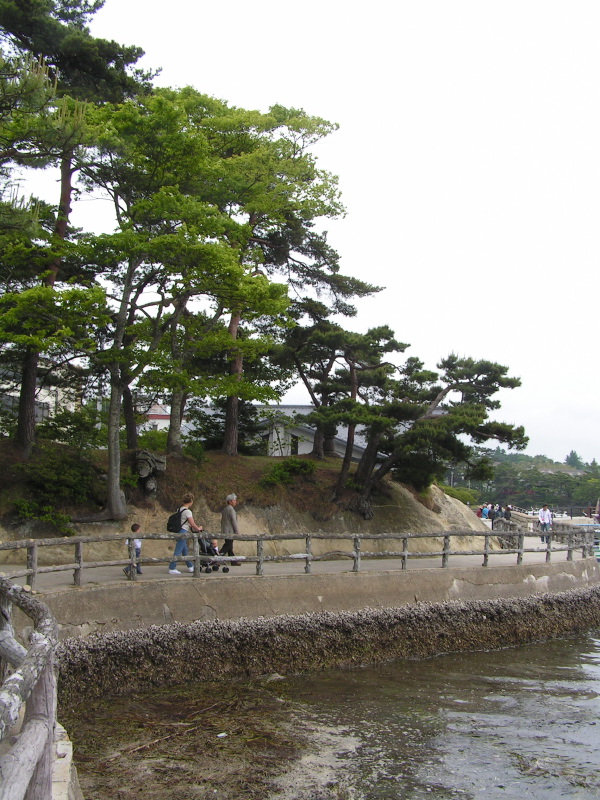 PICT2446.jpg