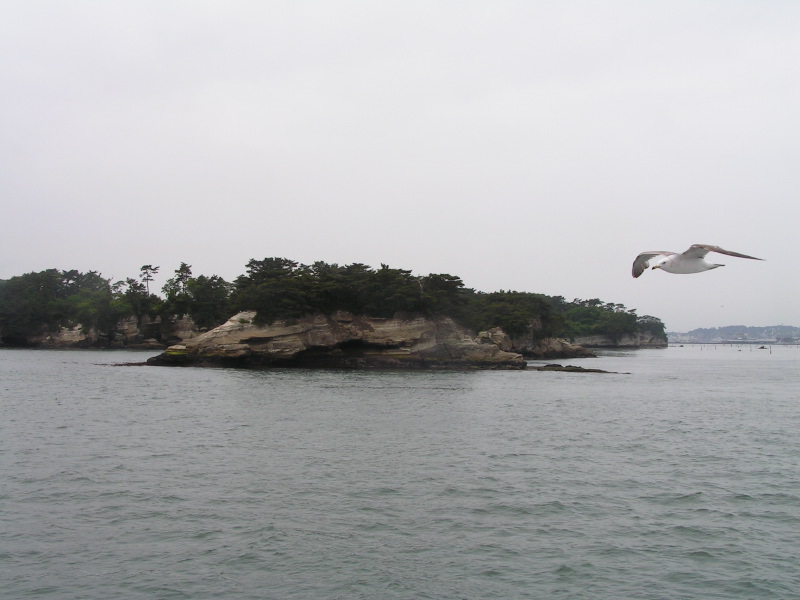 PICT2479.jpg