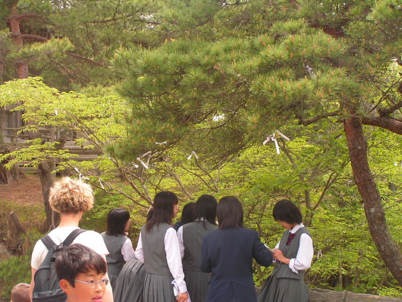 PICT2517.jpg