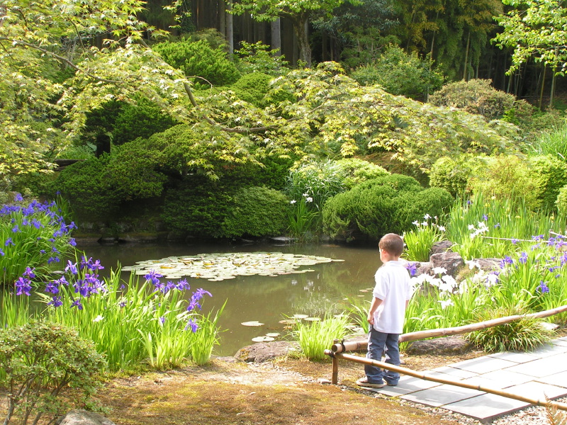 PICT2539.jpg