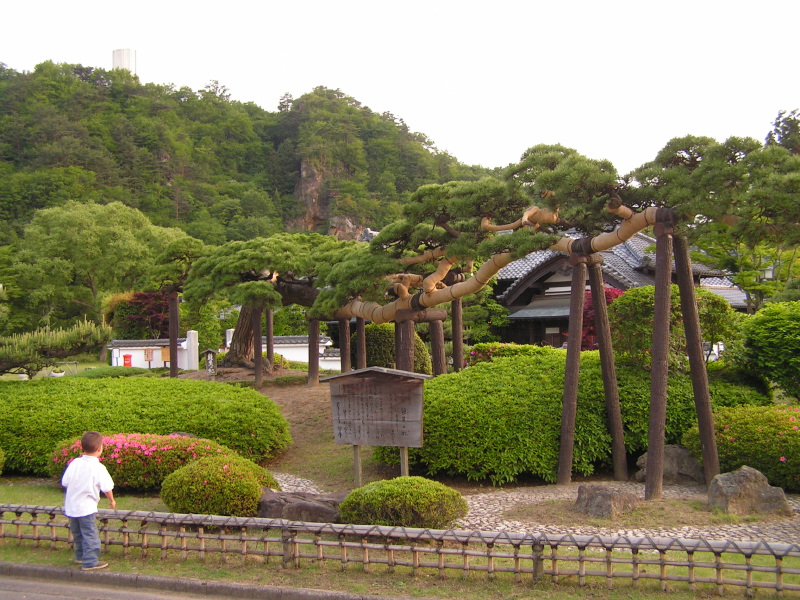 PICT2556.jpg