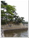 PICT2446.JPG