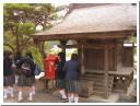 PICT2516.JPG